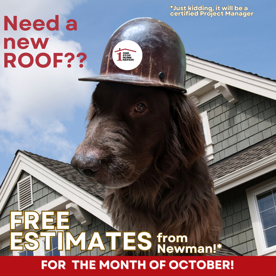 Free Roof Inspections in October